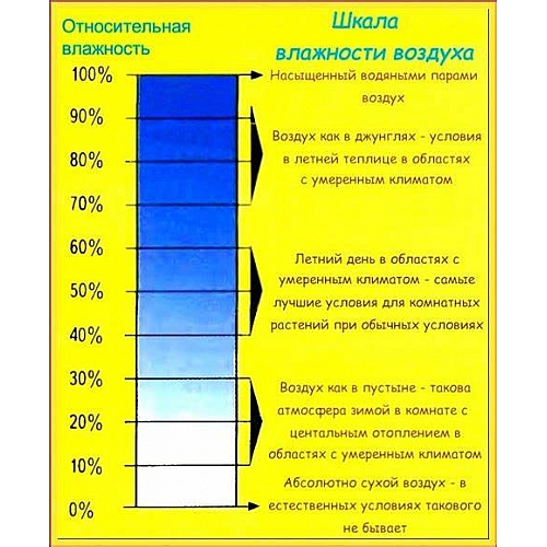 Каковы риски избыточной влажности в здании?