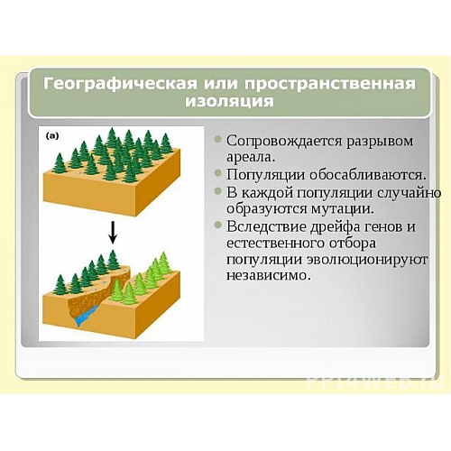 Изоляция труднодоступных мест в энергоэффективном доме