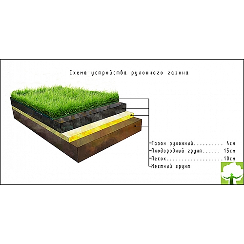 Устройство газона