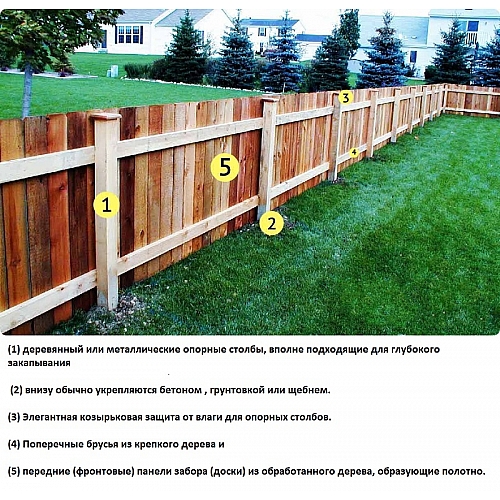 Установка забора на садовом участке - ремонт и строительство