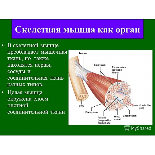 Свойства и применение ровинговых тканей