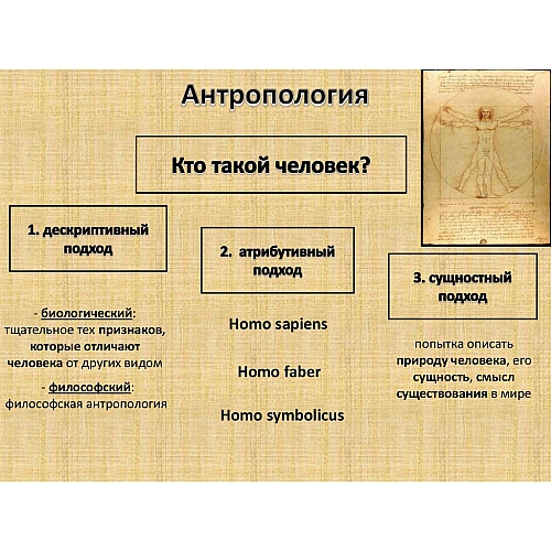 Архитектурная антропология: изучение взаимосвязи между человеком, культурой и архитектурой