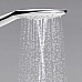 Ручной душ Hansgrohe Raindance Select E 150 3jet белый/хром 26550400