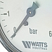 Watts  F+R100(MDA) 63/6 манометр аксиальный нр 1/4х 6 бар (63 мм)