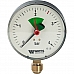 Watts  F+R201(MHR) 100/4x1/2 Манометр радиальный 100мм, 0-4 бар