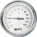 Watts  F+R801(T) 80/75 Термометр биметаллический  с погружной гильзой  80 мм